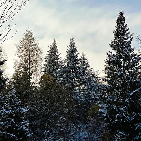 Feriehus Nord Hill - Zlatar Hill - Kuca Za Odmor *