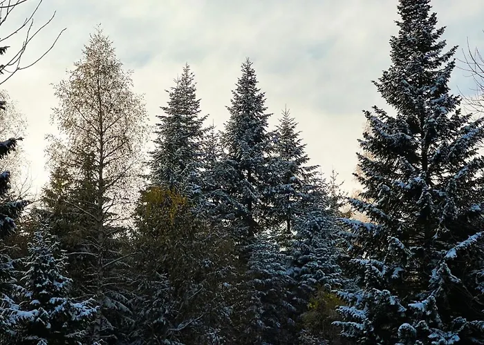 度假居 Nord Hill - Zlatar Hill - Kuca Za Odmor *